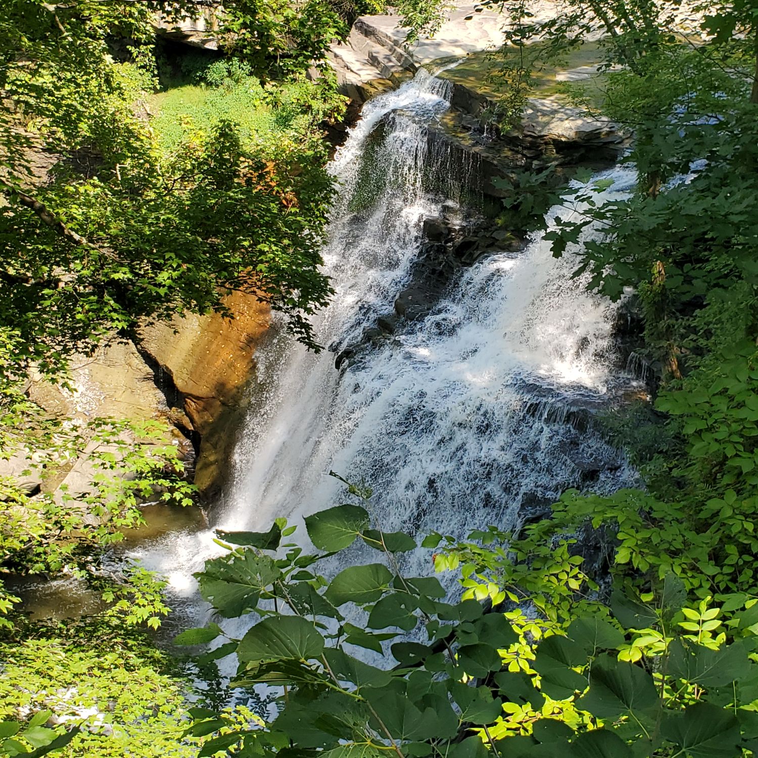 Stanford and Brandywine Gorge Trails 